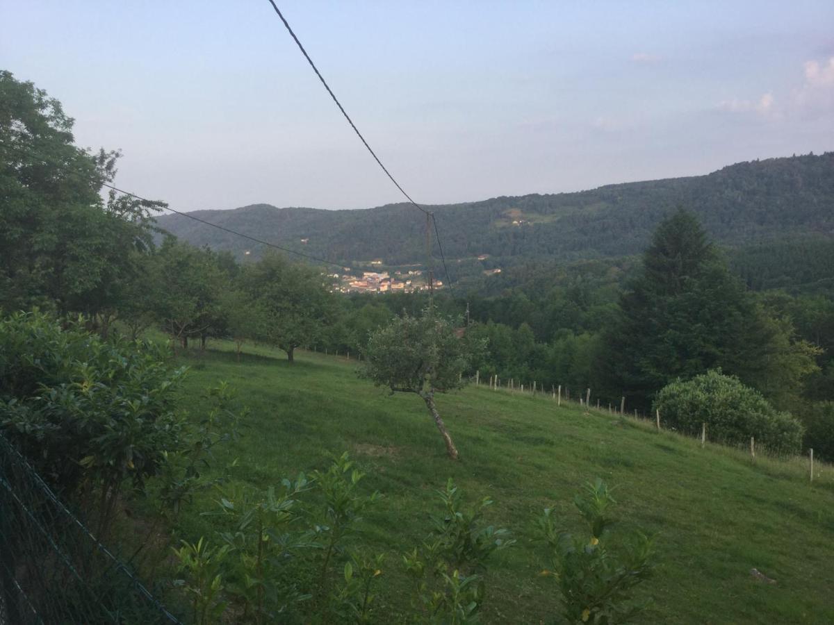 La Ferme De La-Haut B&B Le Haut-du-Them Eksteriør bilde