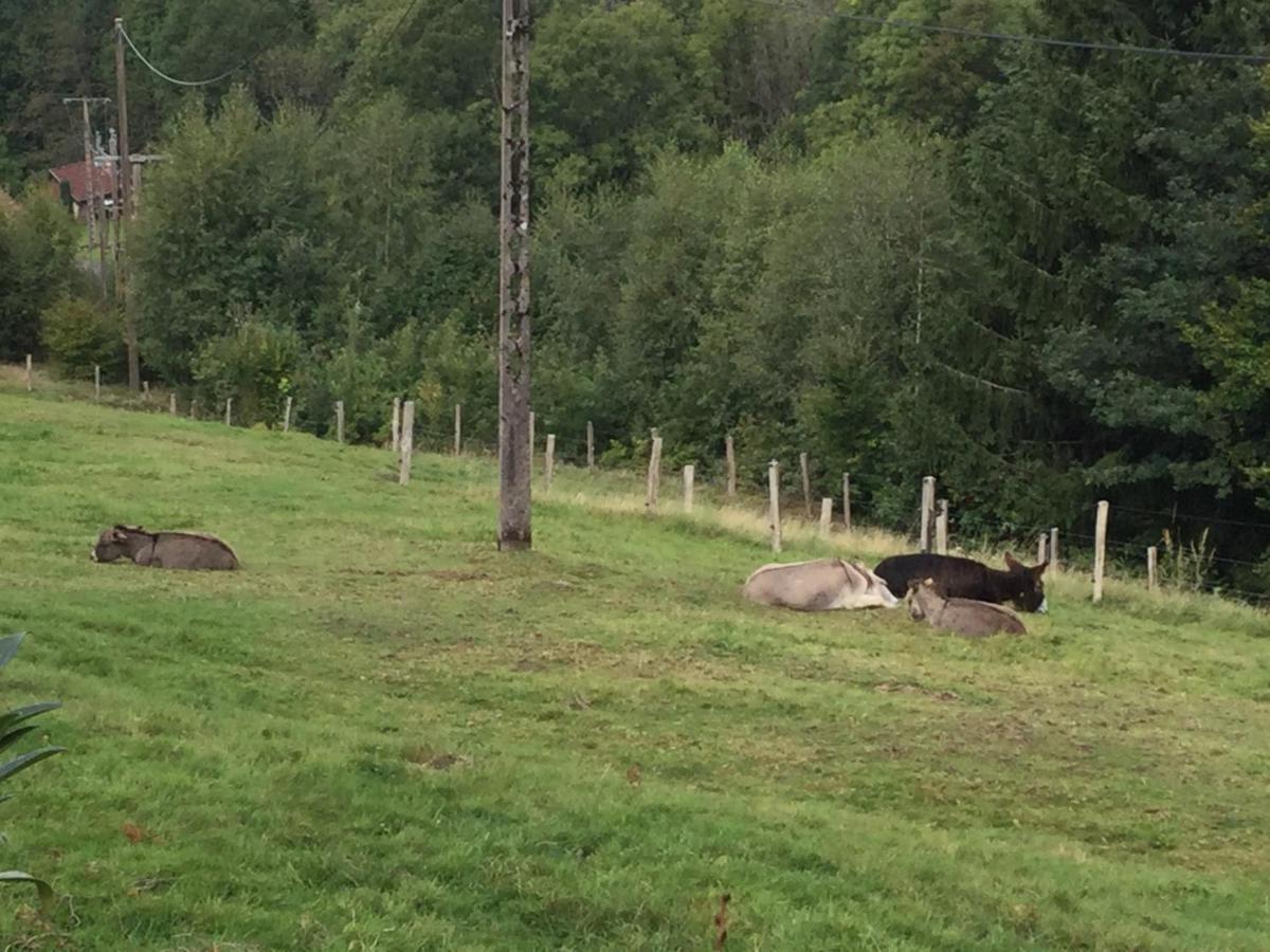 La Ferme De La-Haut B&B Le Haut-du-Them Eksteriør bilde
